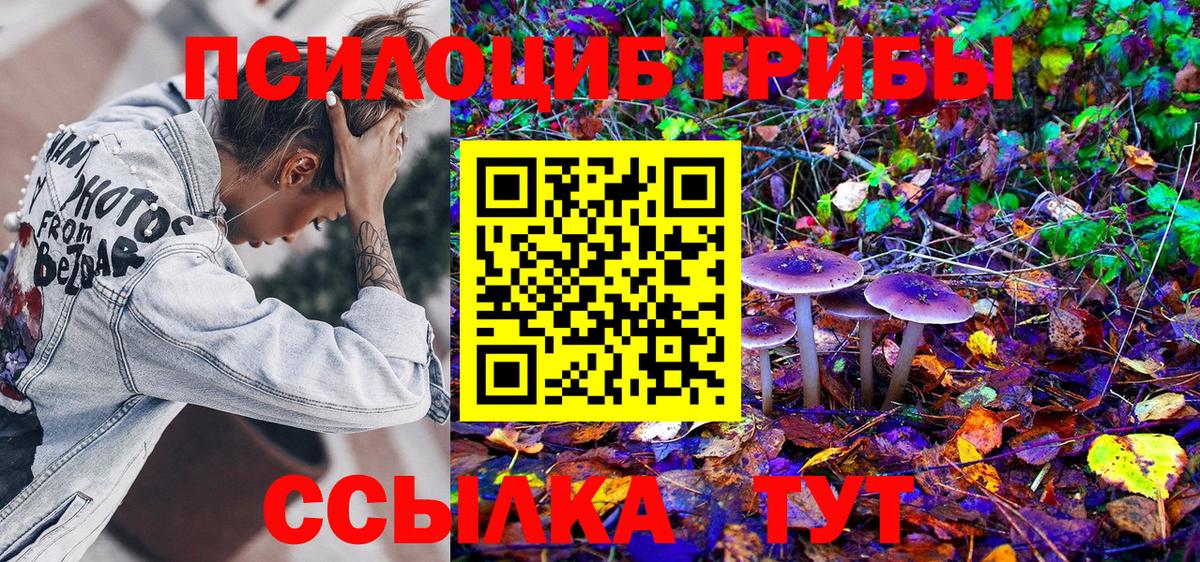 Благовещенск  Псилоцибиновые грибы MAGIC MUSHROOMS  Галлюциногенные грибы ЛСД  где продают наркотики  Вход с VPN 