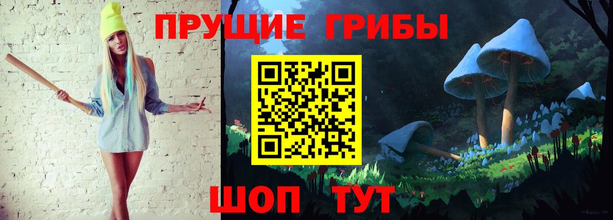 Псилоцибиновые грибы GOLDEN TEACHER Благовещенск